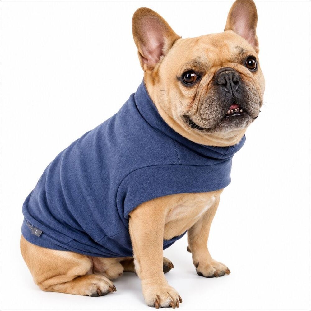 Cat or Small Dog Blue Fleece Pullover Sweater